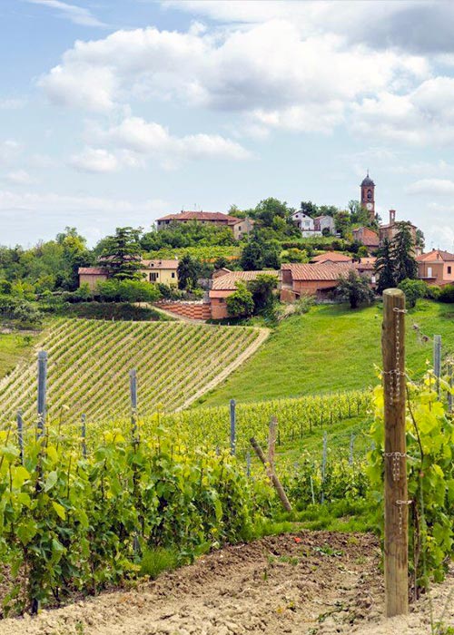 Monleale - Alessandria